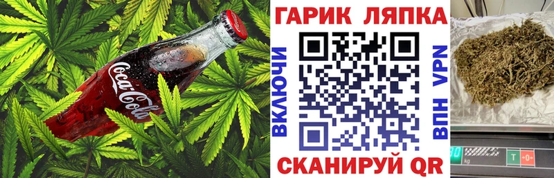 Купить где  Галич  Cannafood конопля 