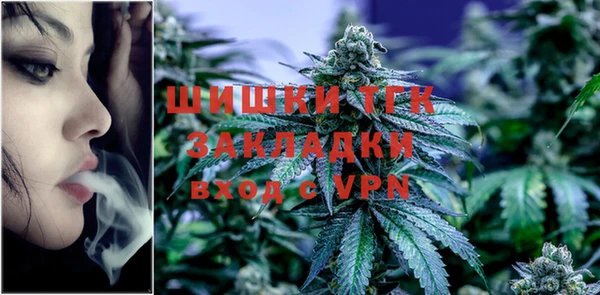 мяу мяу мука Горняк