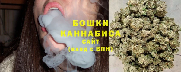 твердый Горнозаводск