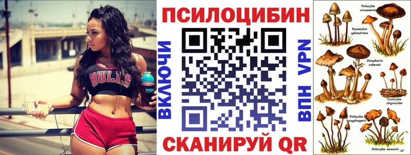 Псилоцибиновые грибы GOLDEN TEACHER  Купить  Галич 
